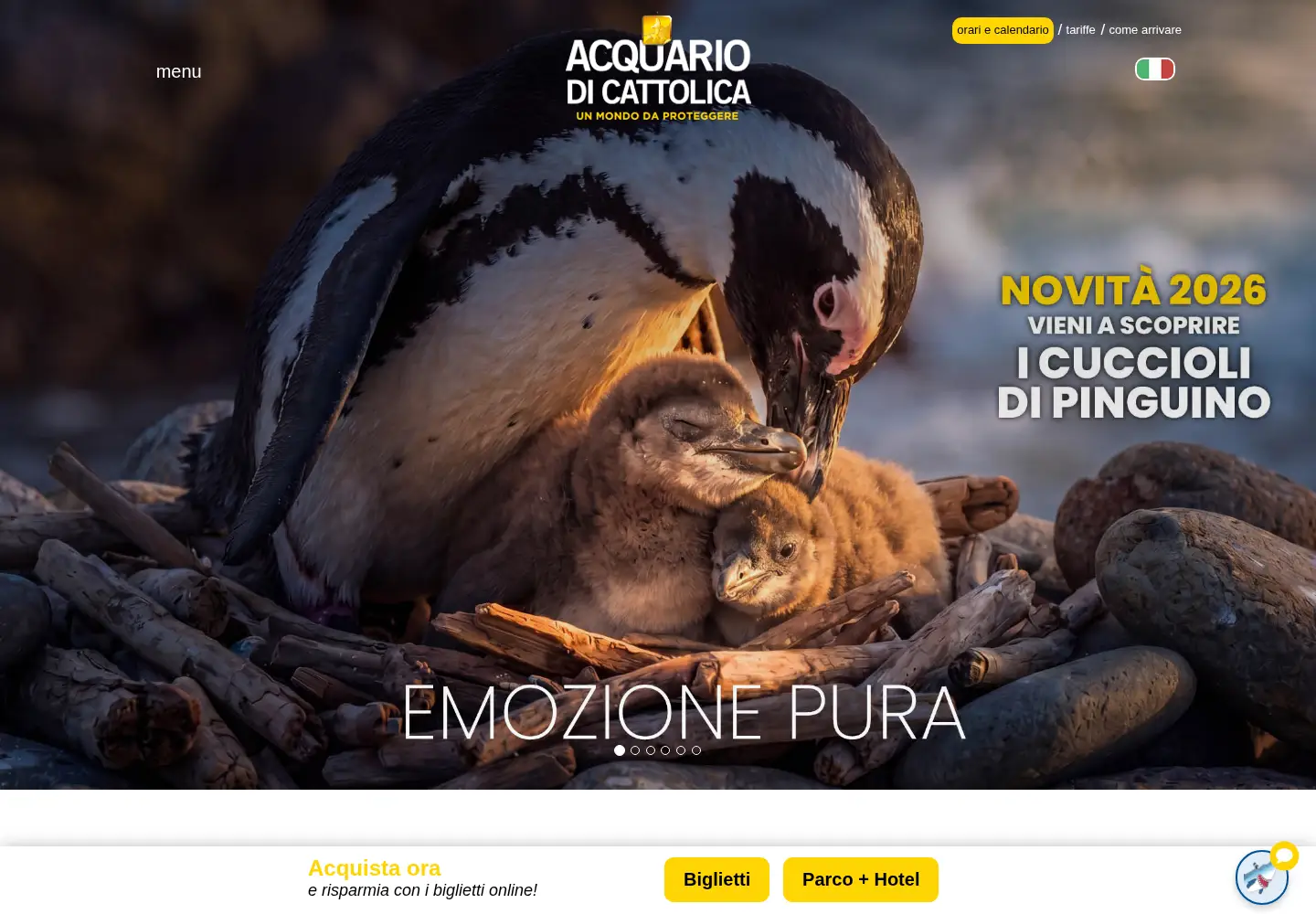 Captured homepage of acquariodicattolica.it in the current scan