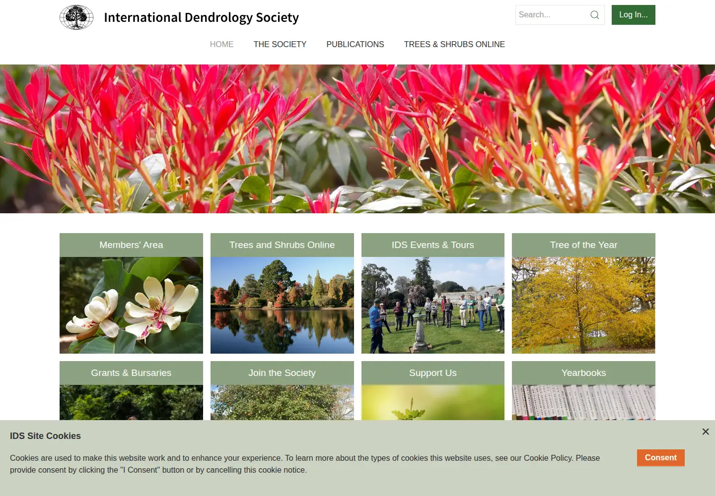 Screenshot of dendrology.org