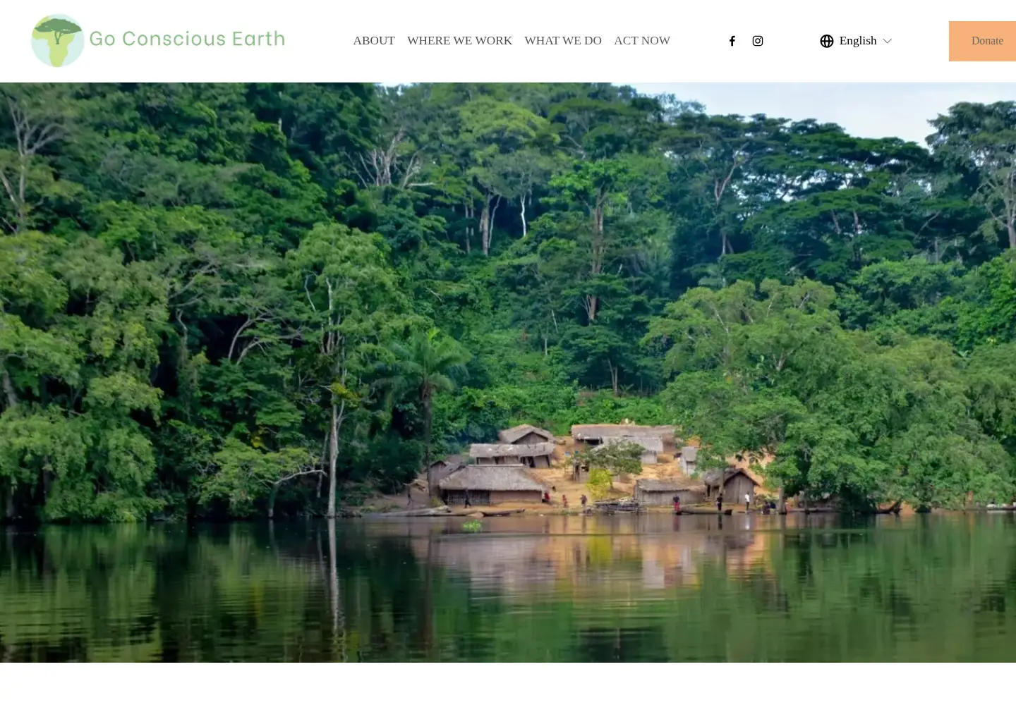 Captured homepage of gcearth.org in the current scan