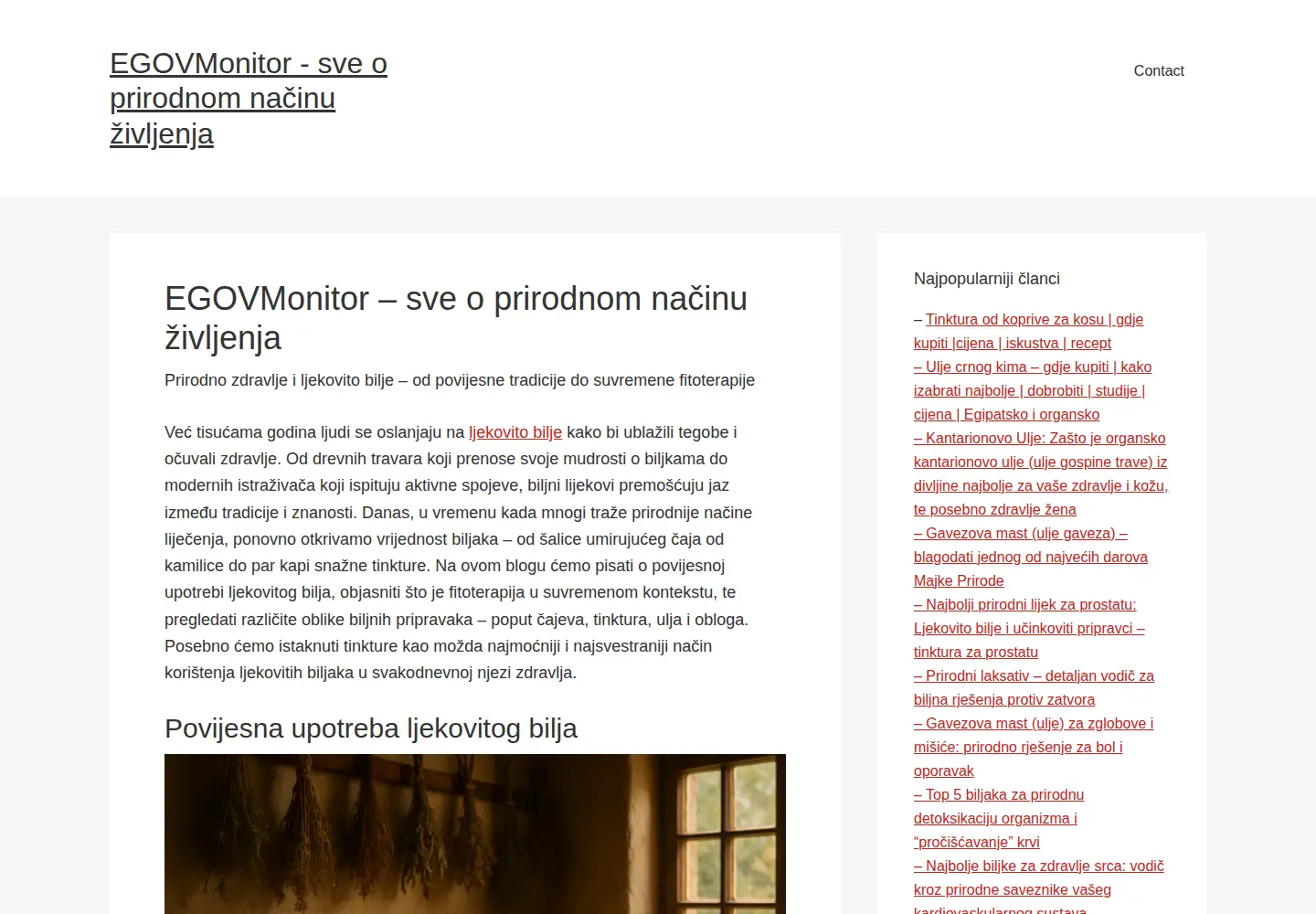 Screenshot of egovmonitor.com