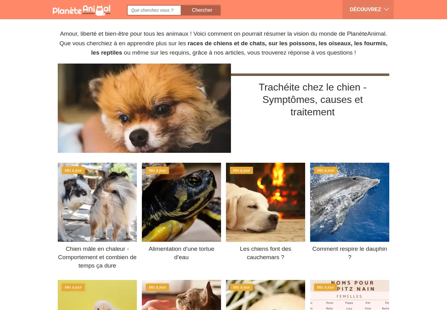 Captured homepage of planeteanimal.com in the current scan