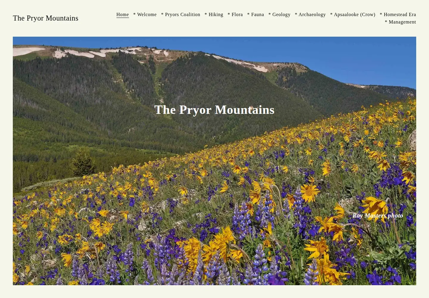 Captured homepage of pryormountains.org in the current scan