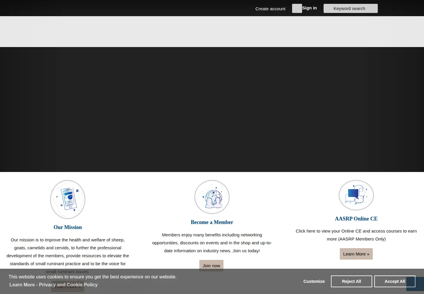 Captured homepage of aasrp.org in the current scan