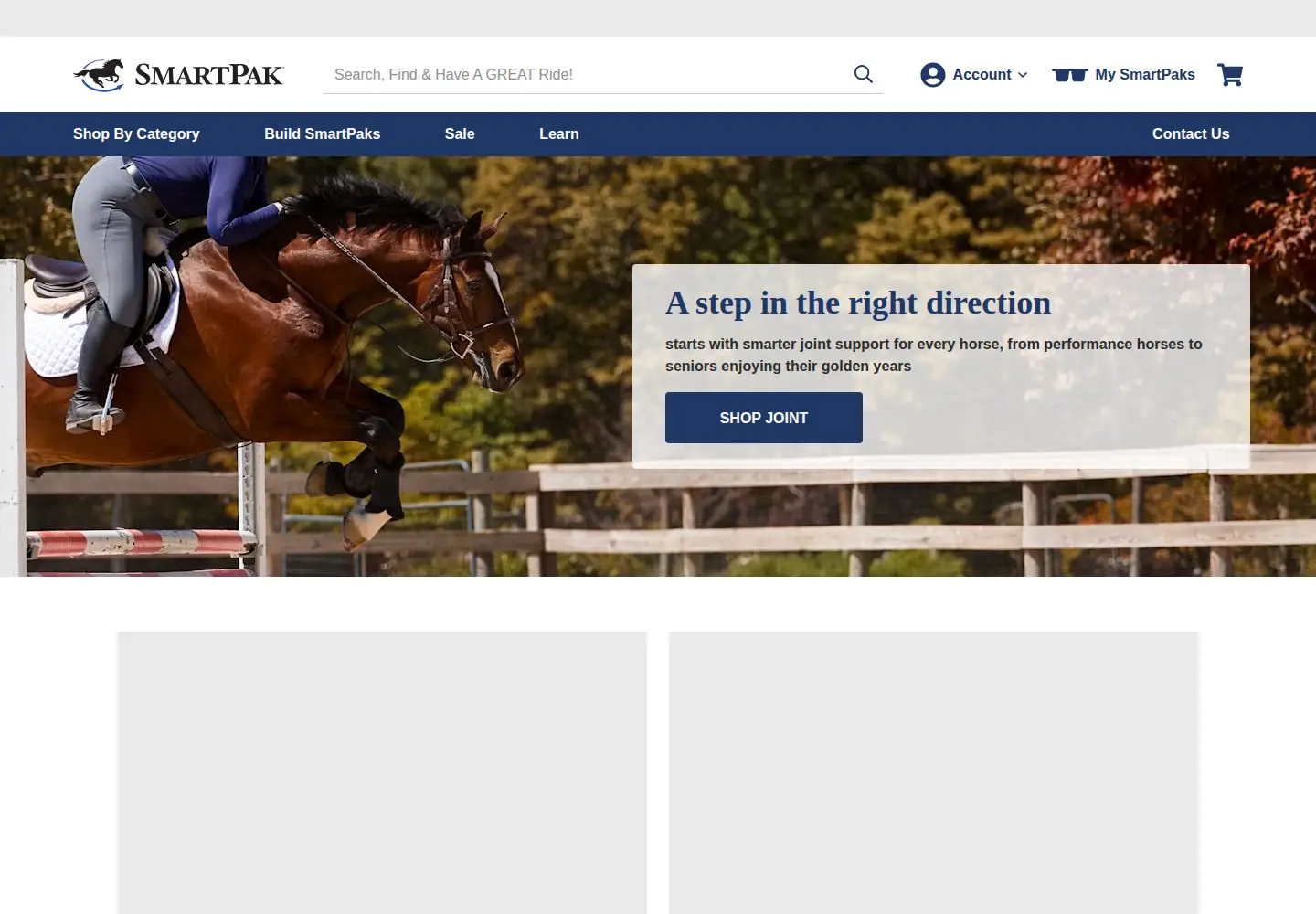 Screenshot of smartpakequine.com