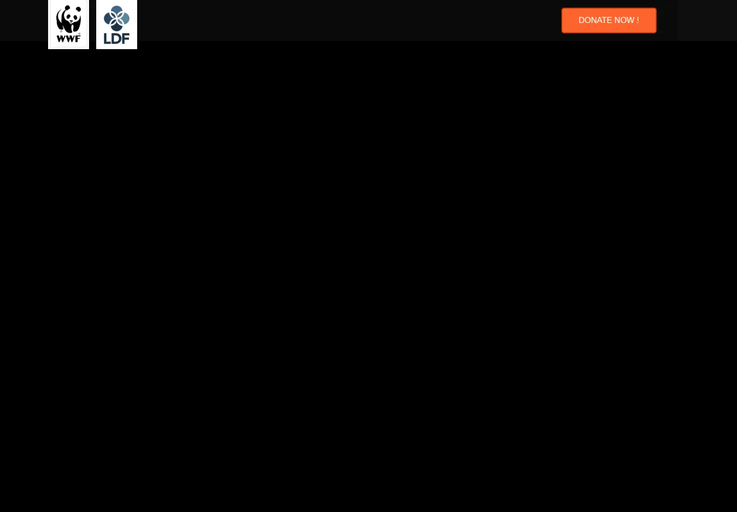 Screenshot of savetigersnow.org