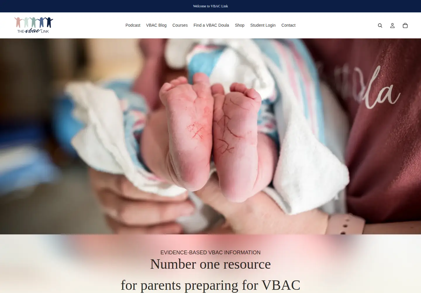 Screenshot of thevbaclink.com