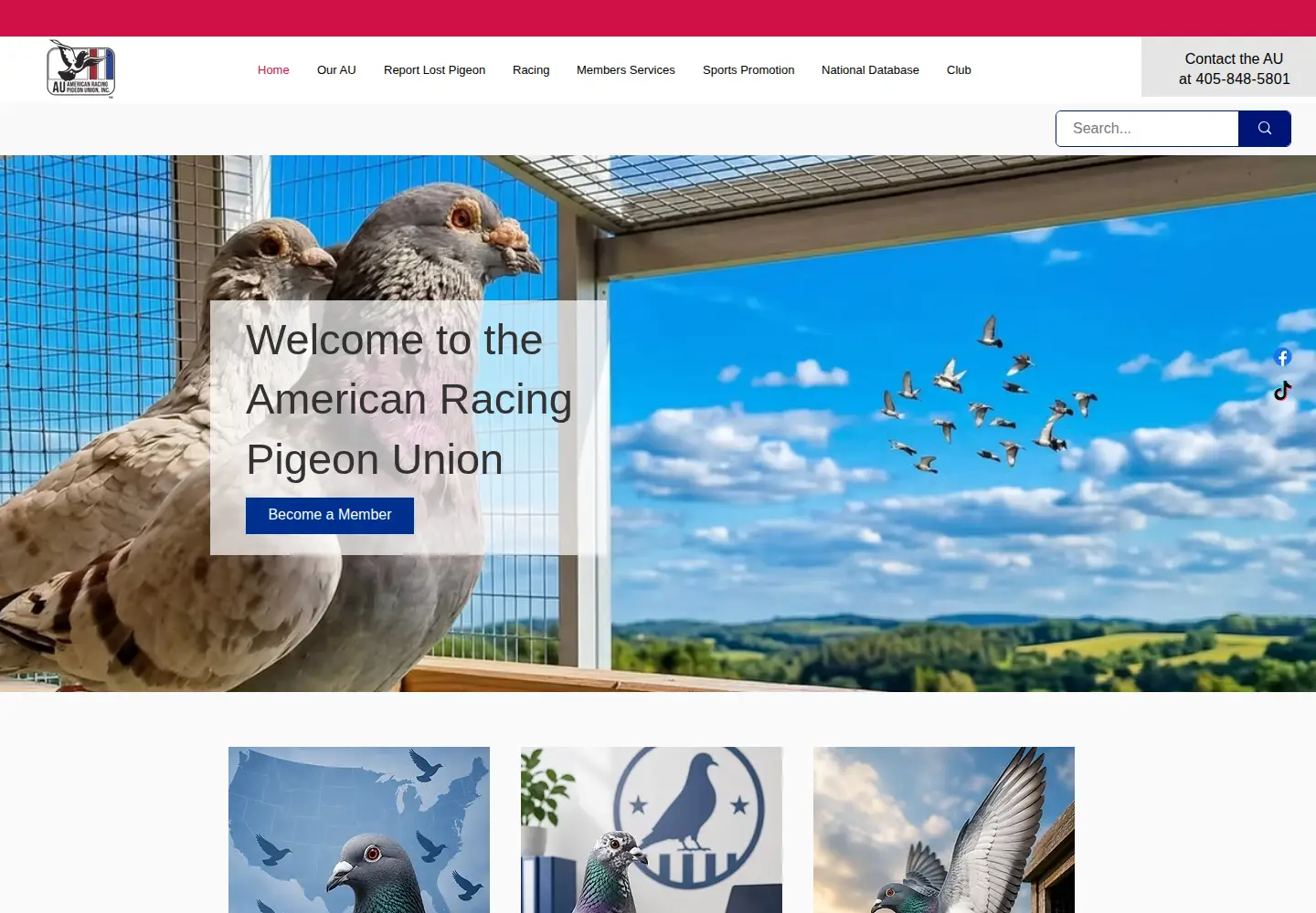 Screenshot of pigeon.org