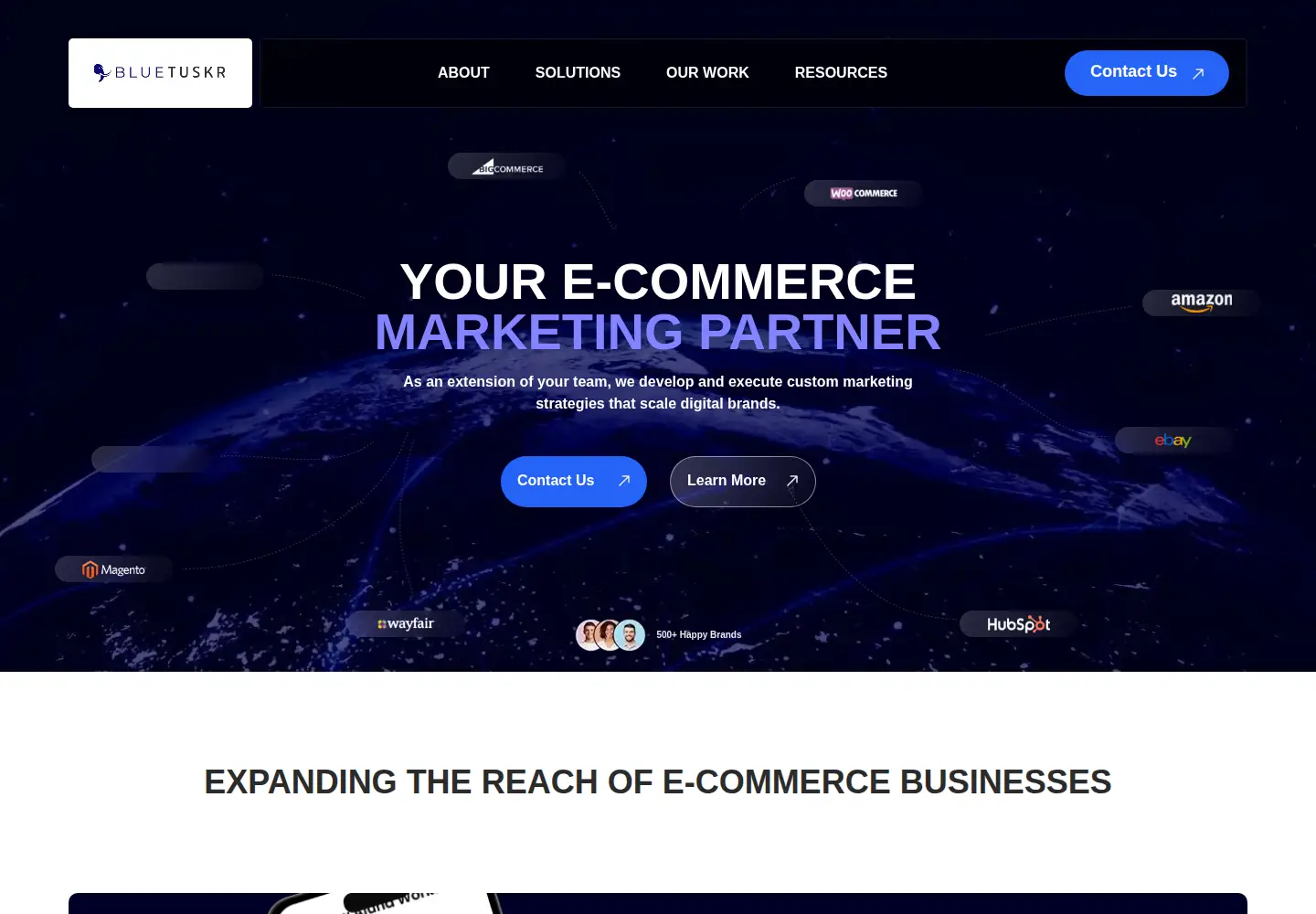 Screenshot of bluetuskr.com