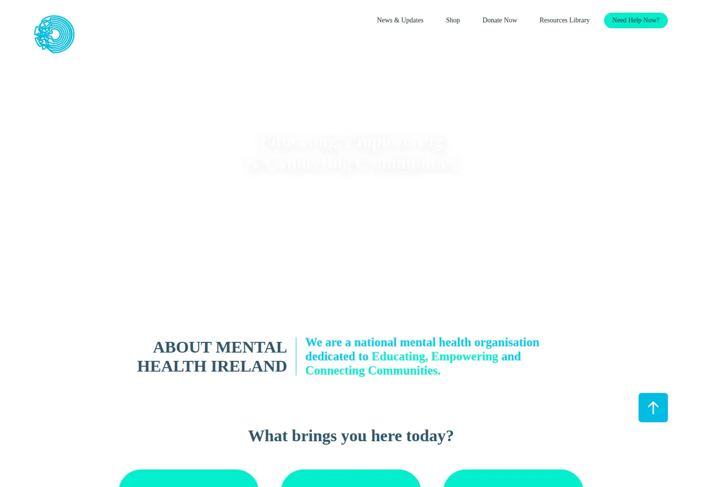 Captured homepage of mentalhealthireland.ie in the current scan