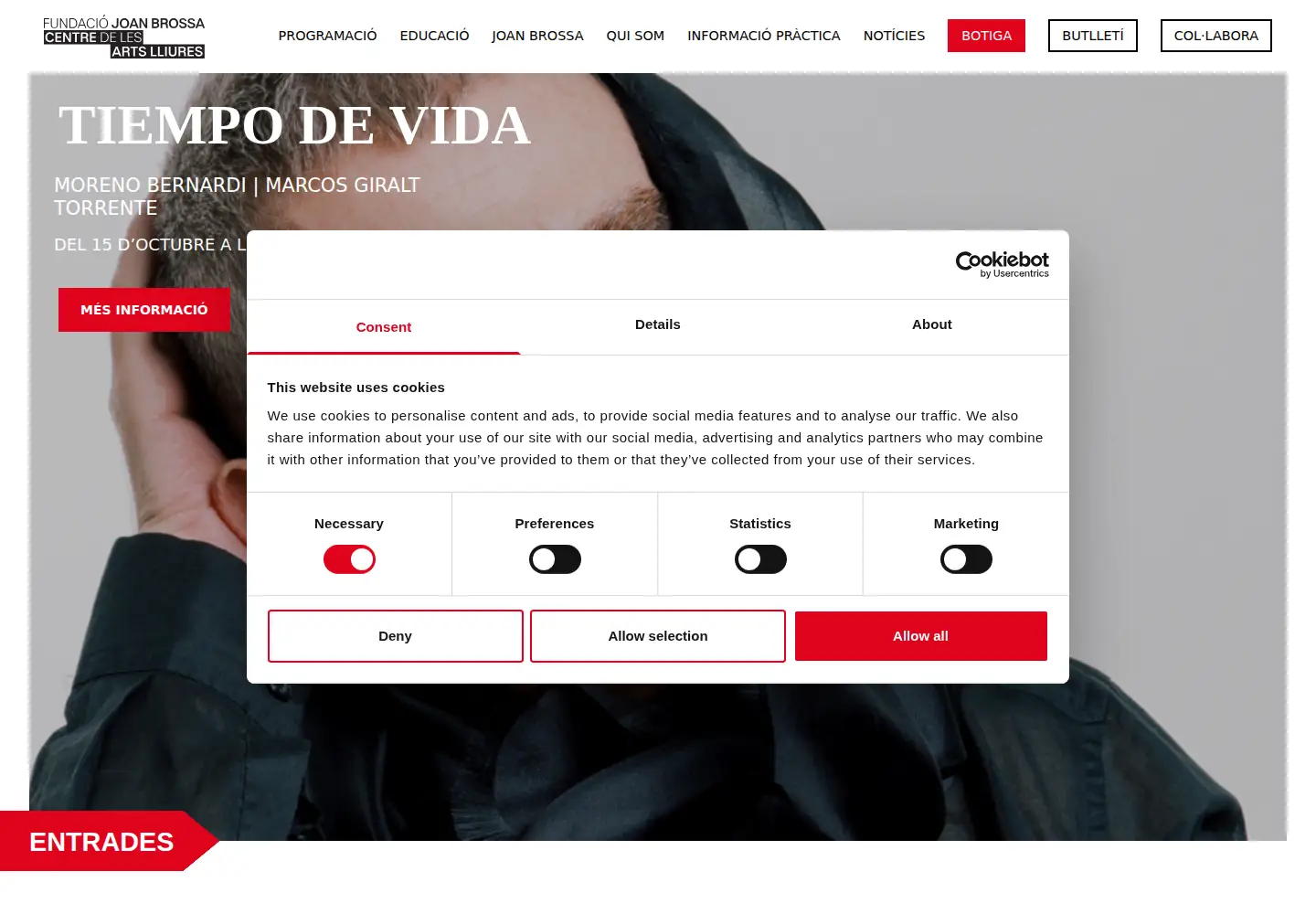 Screenshot of fundaciojoanbrossa.cat