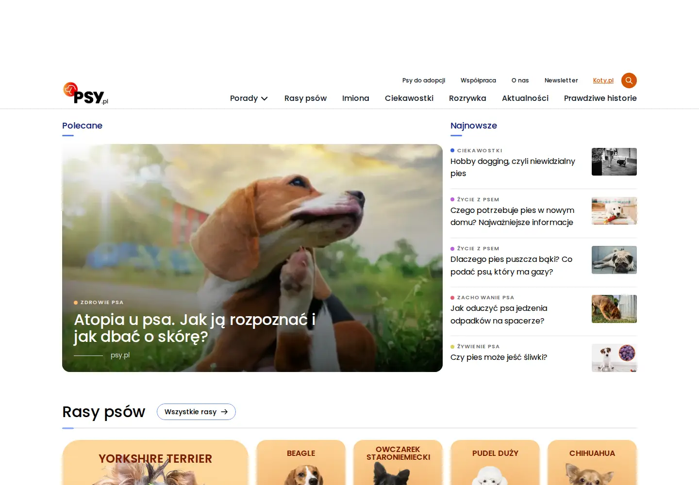 Screenshot of psy.pl
