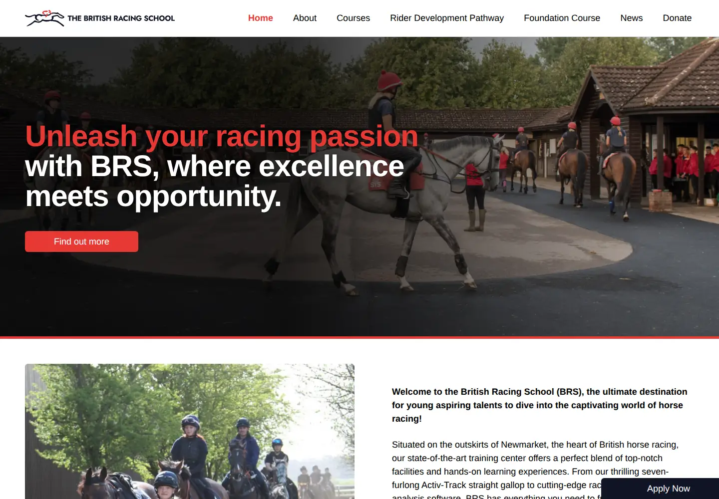 Screenshot of brs.org.uk