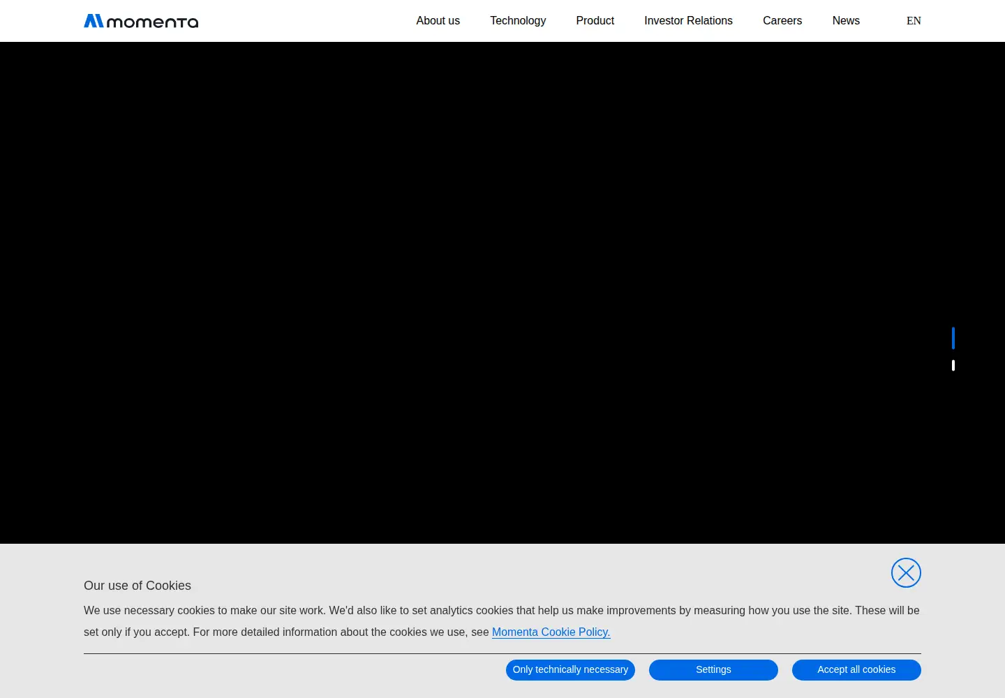 Screenshot of momenta.cn