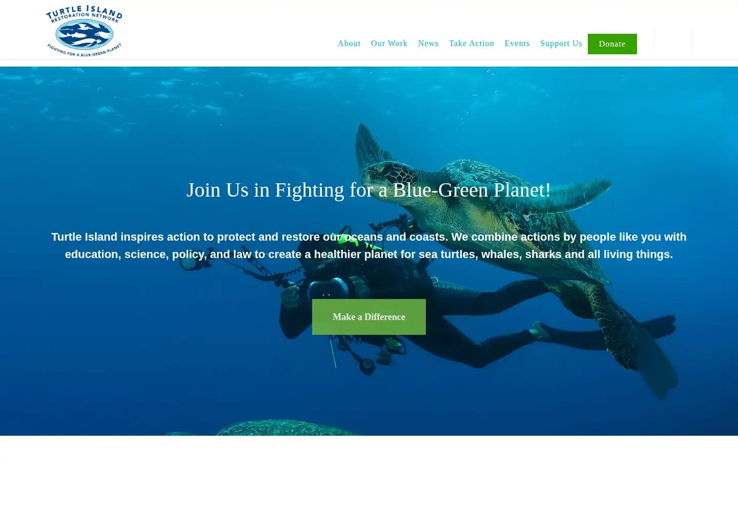 Screenshot of seaturtles.org
