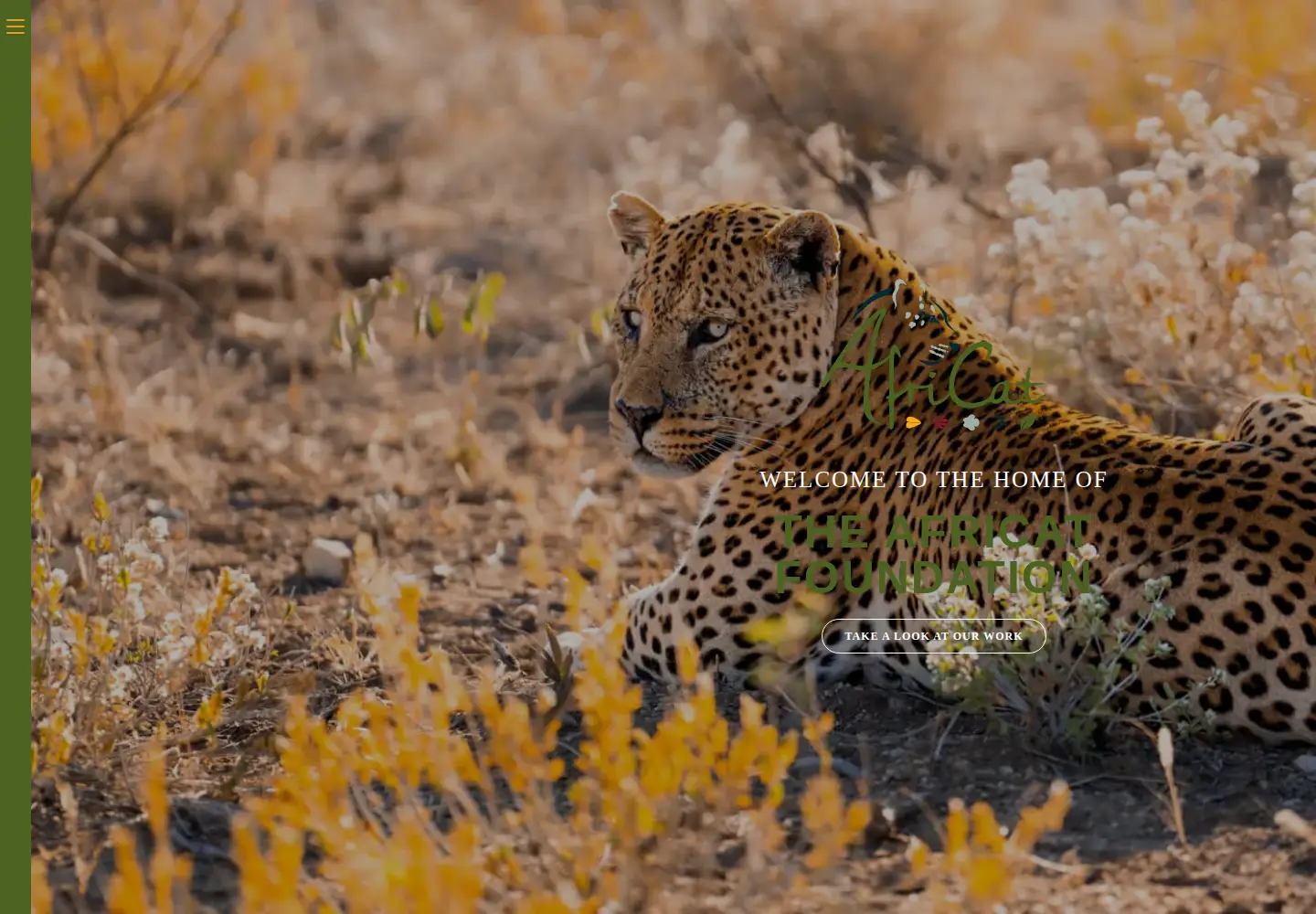 Screenshot of africat.org
