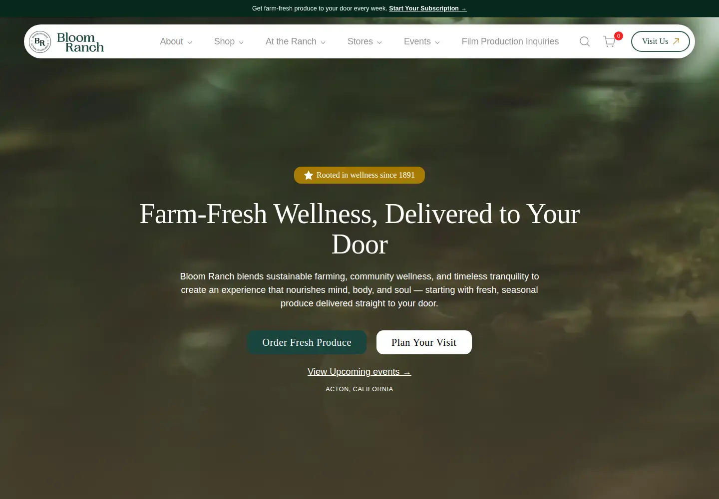 Screenshot of bloomranchofacton.com