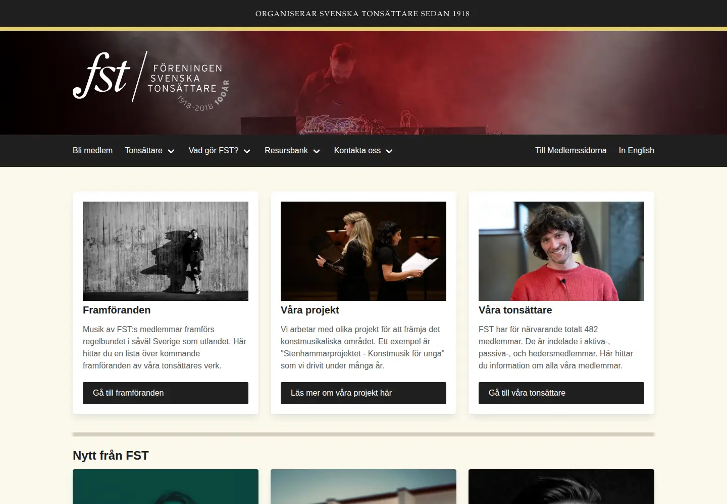Screenshot of fst.se