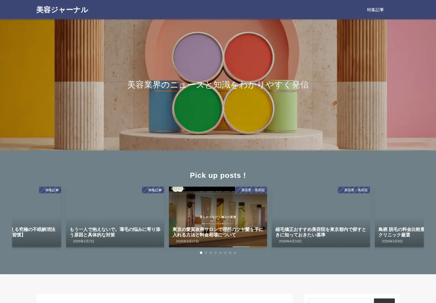 Screenshot of theiceproject.org