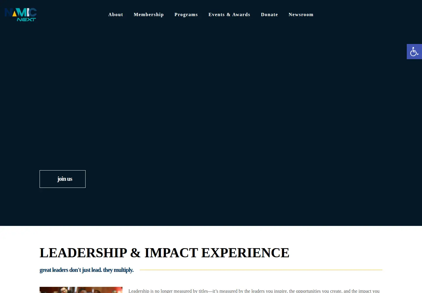 Screenshot of namic.com