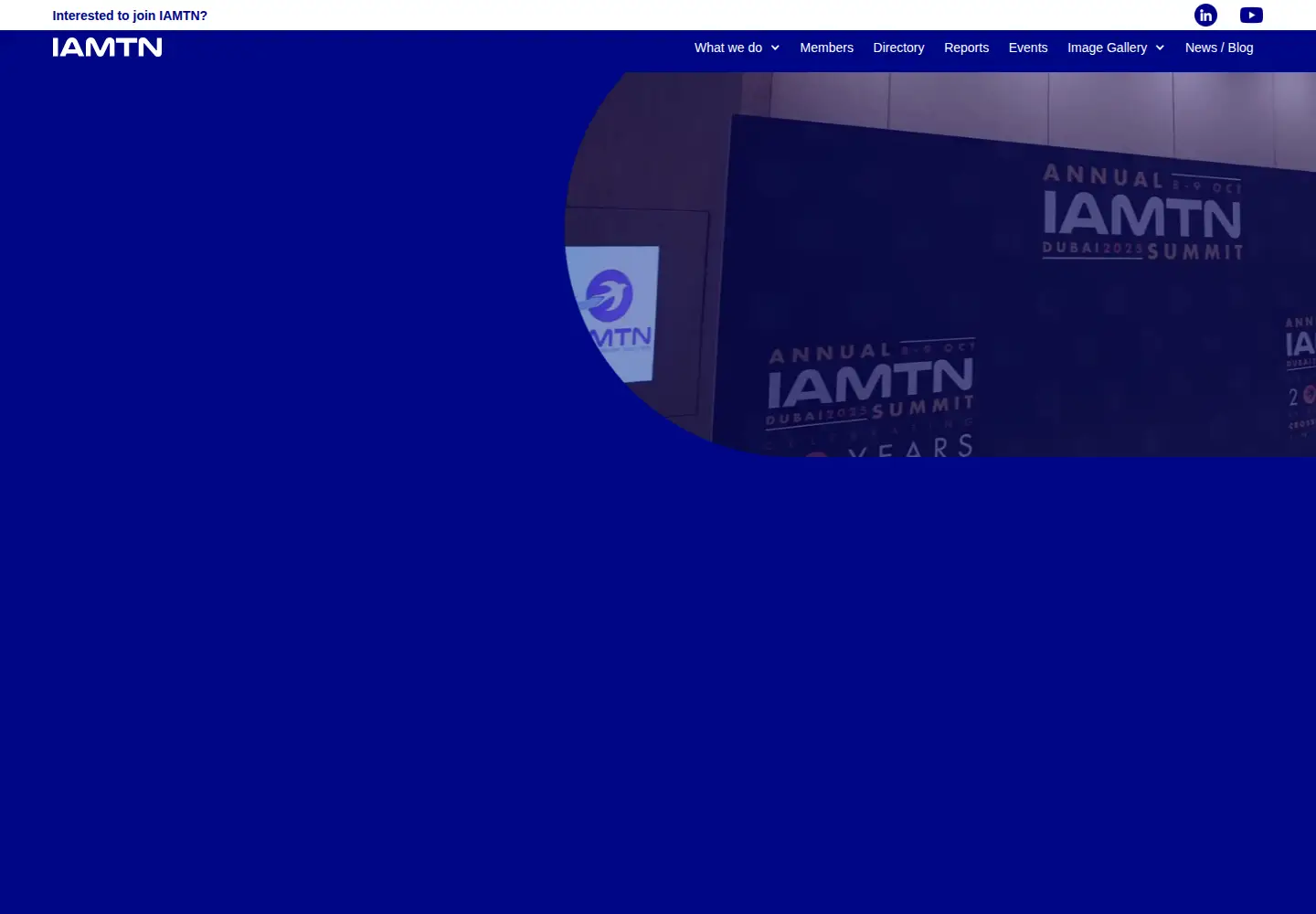 Screenshot of iamtn.org