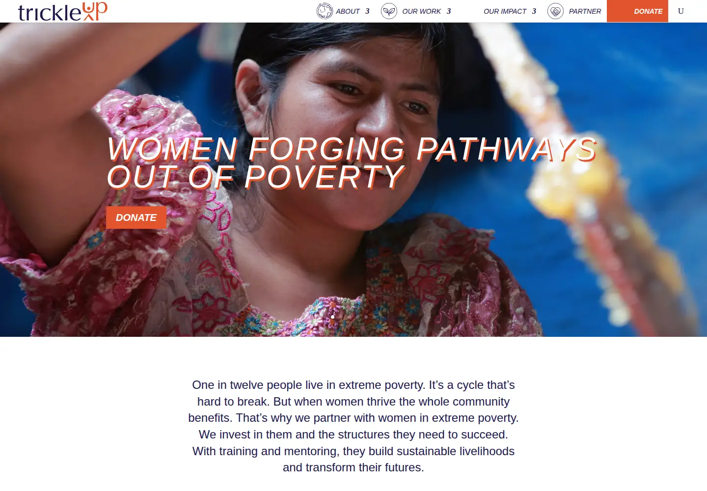 Captured homepage of trickleup.org in the current scan