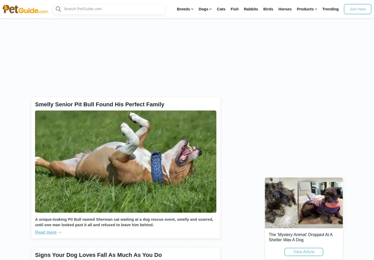 Screenshot of terrificpets.com