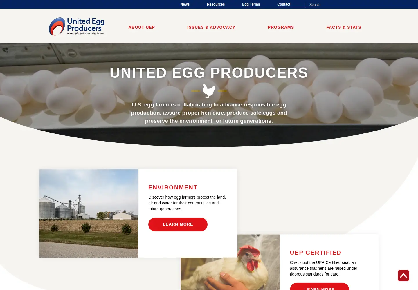 Captured homepage of unitedegg.com in the current scan
