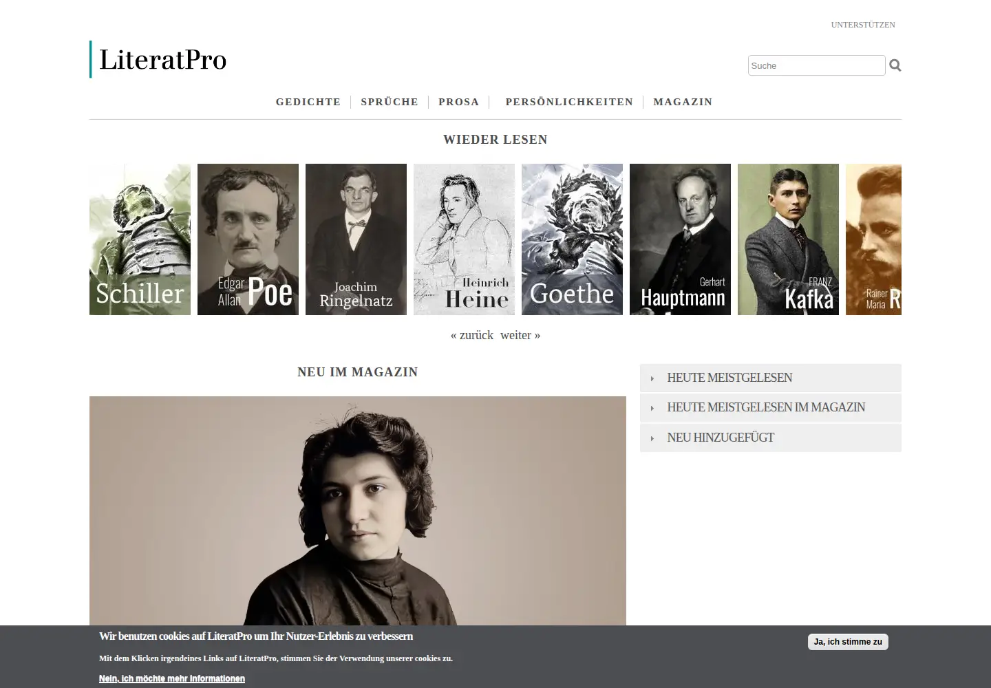 Screenshot of literatpro.de