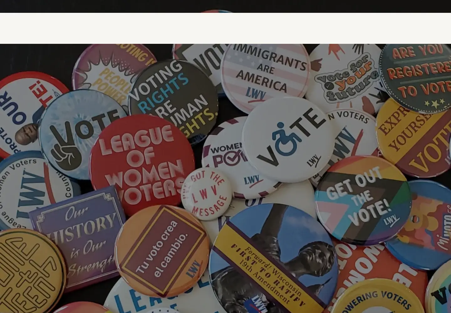 Screenshot of lwvdanecounty.org