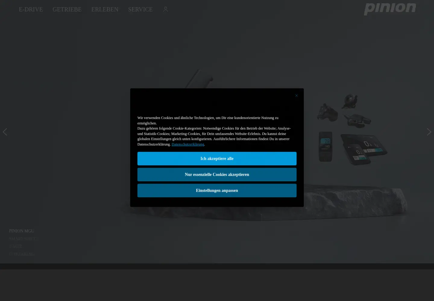 Screenshot of pinion.eu