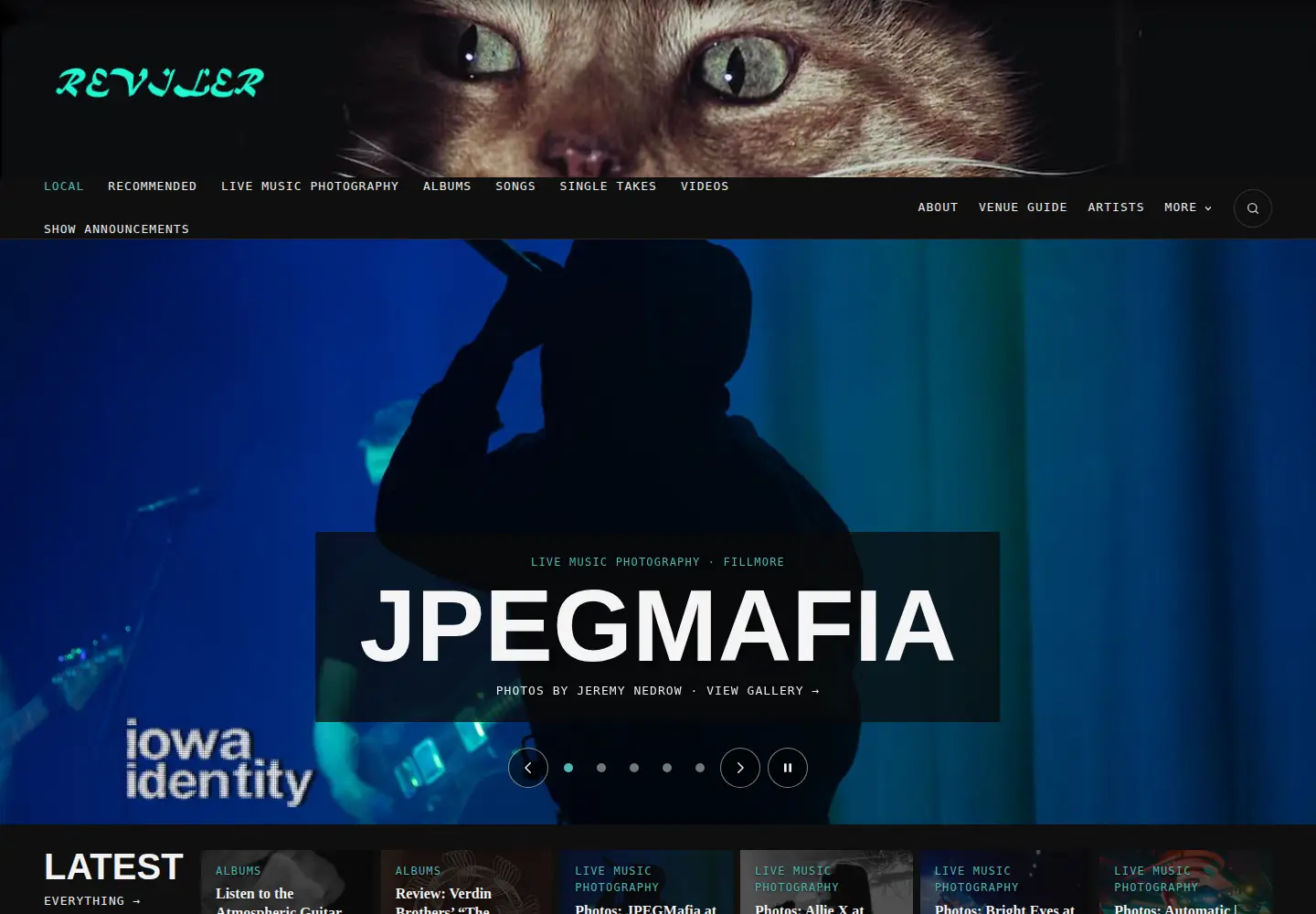 Captured homepage of reviler.org in the current scan