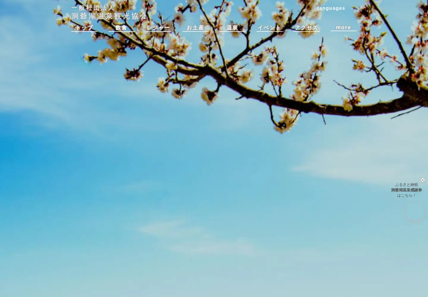 Screenshot of laketoya.com