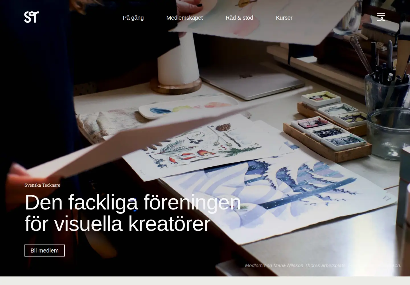 Captured homepage of svenskatecknare.se in the current scan