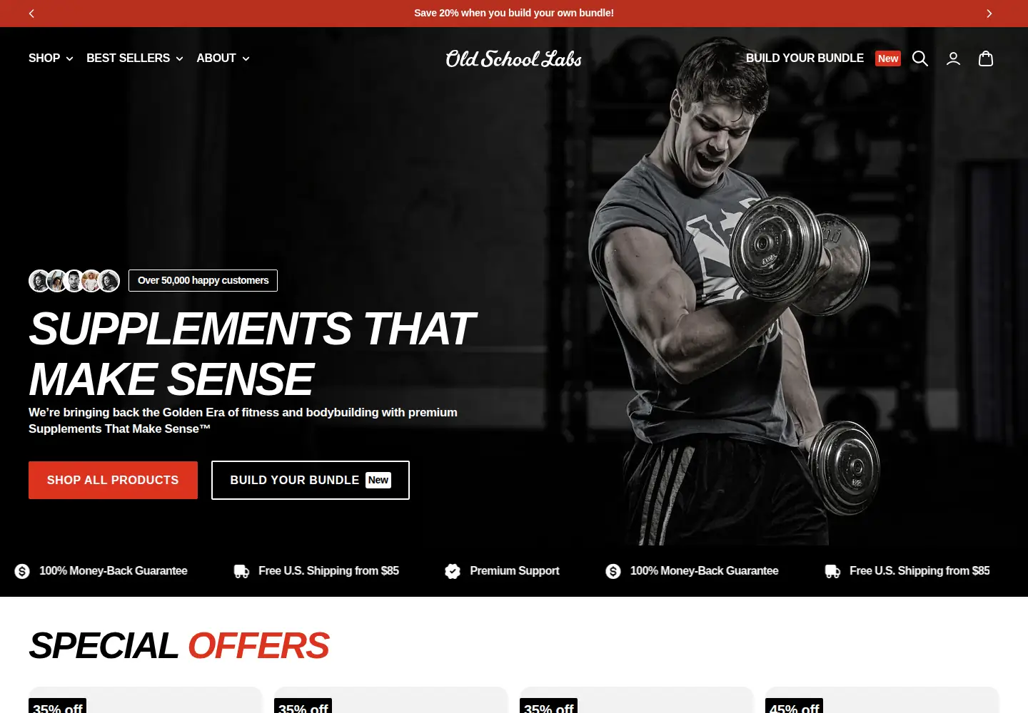 Captured homepage of oldschoollabs.com in the current scan
