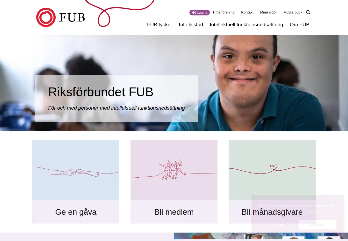 Captured homepage of fub.se in the current scan