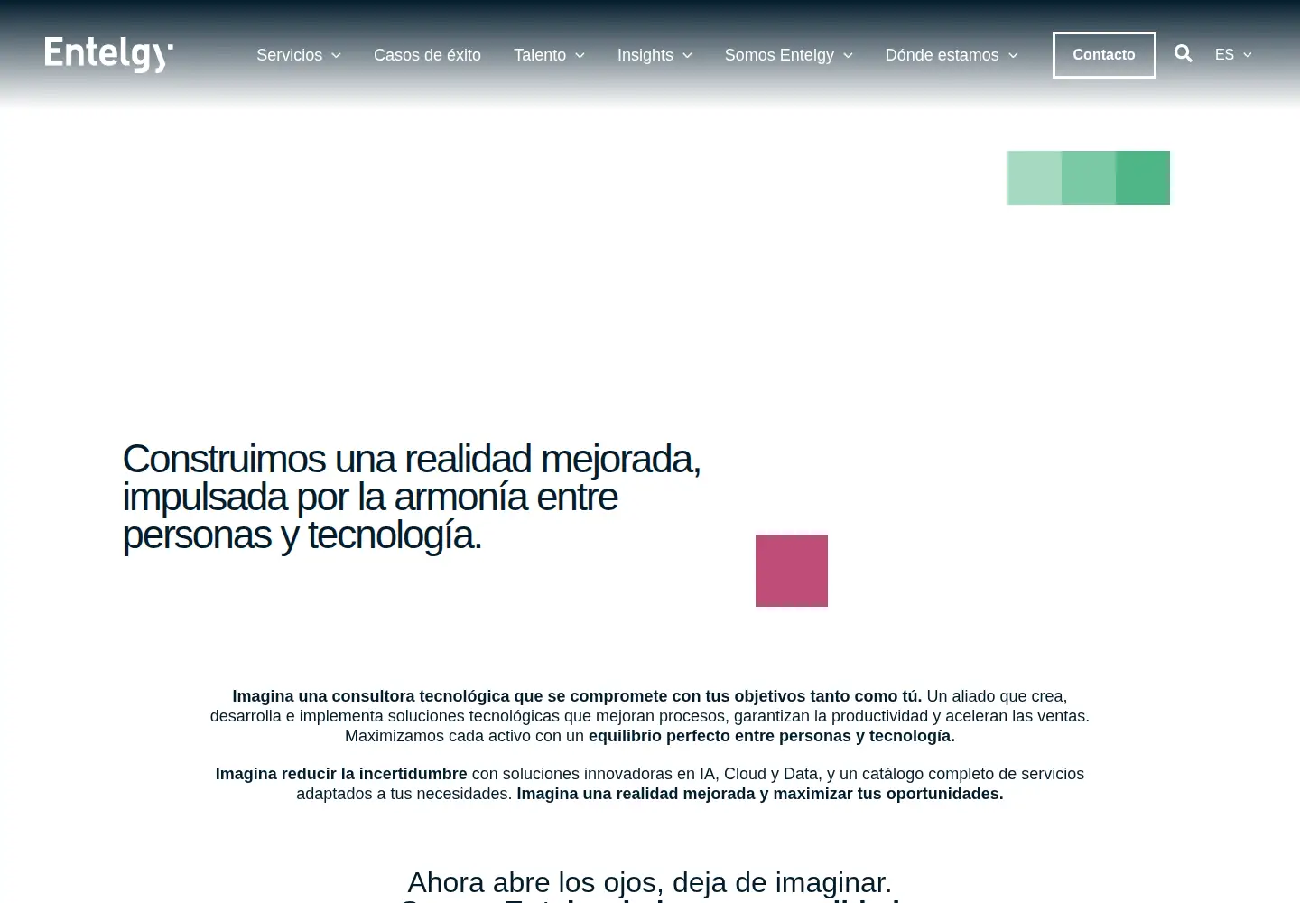 Screenshot of entelgy.com
