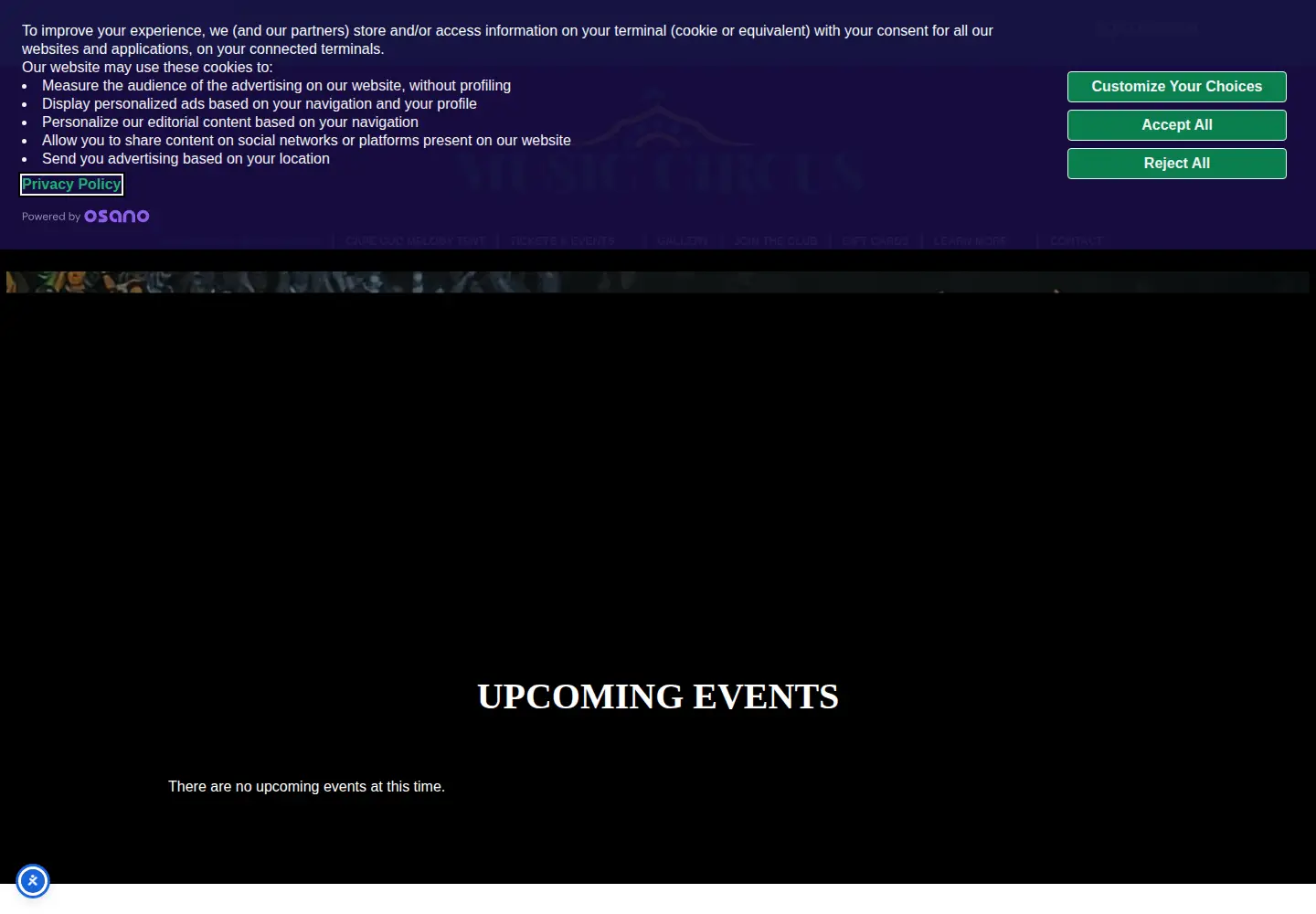 Screenshot of themusiccircus.org