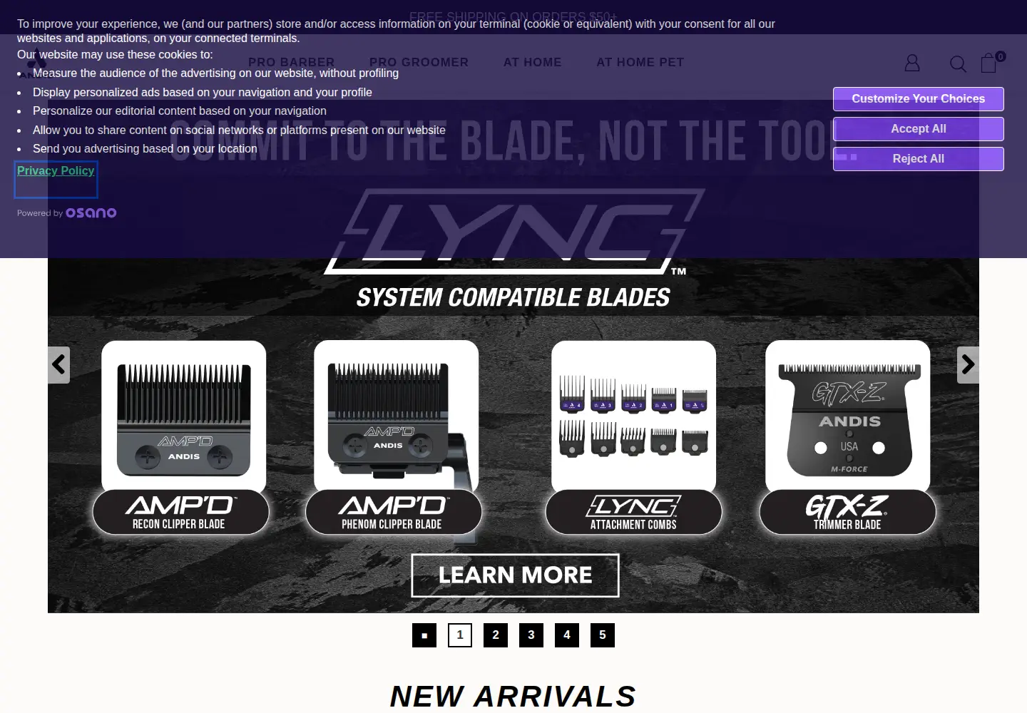 Captured homepage of andis.com in the current scan