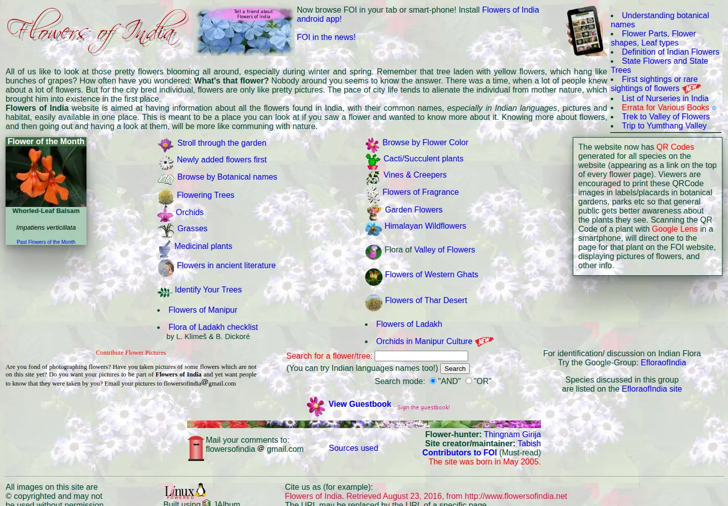 Screenshot of flowersofindia.net