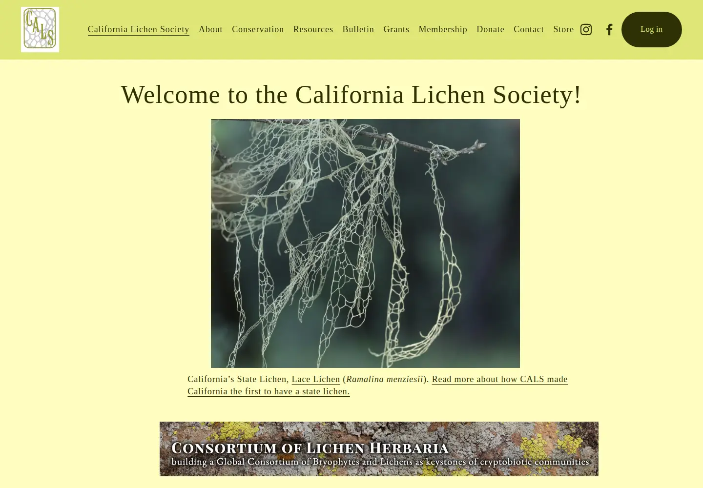 Captured homepage of californialichens.org in the current scan