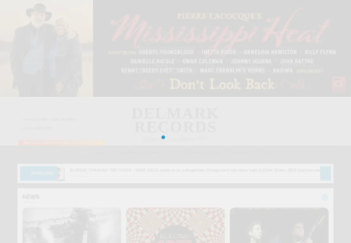 Captured homepage of delmark.com in the current scan