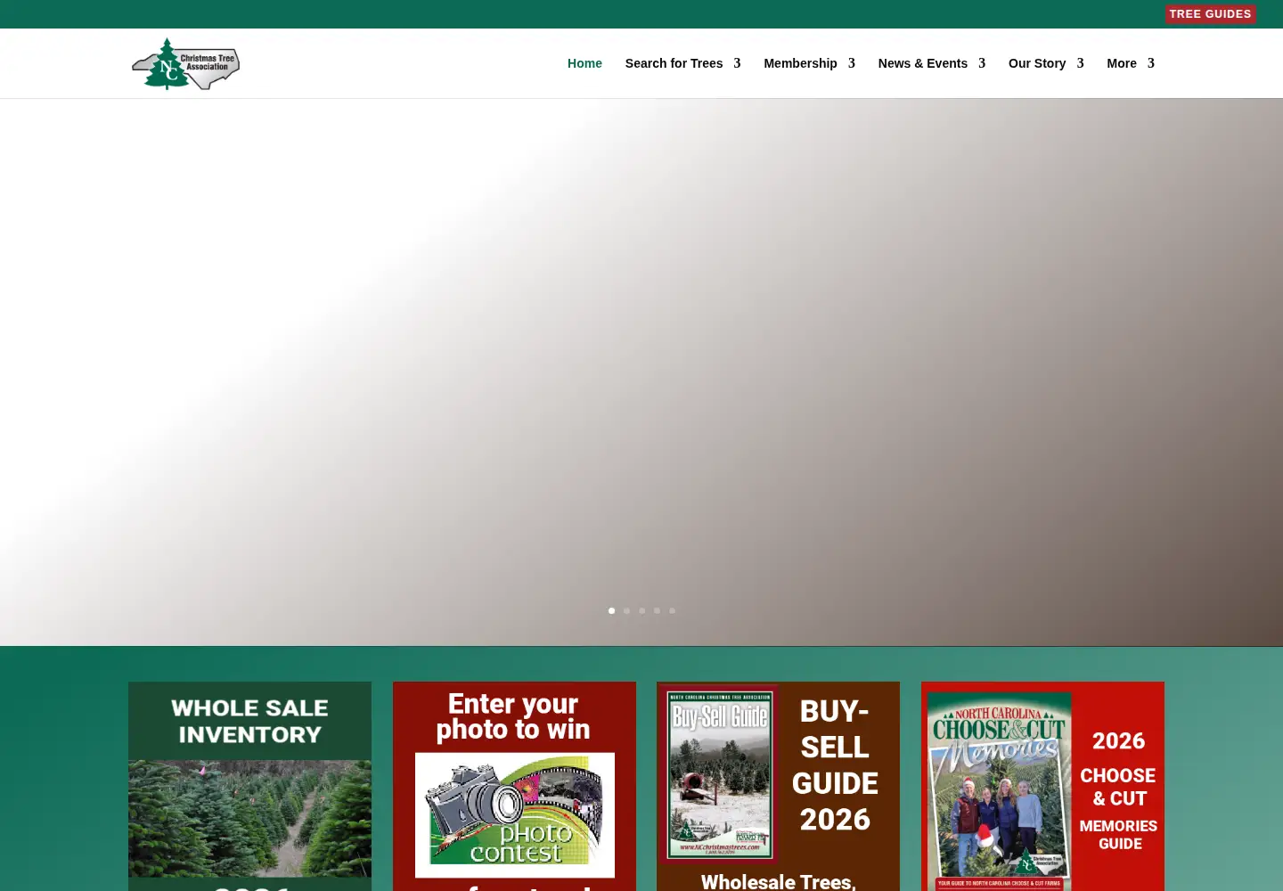 Screenshot of ncchristmastrees.com