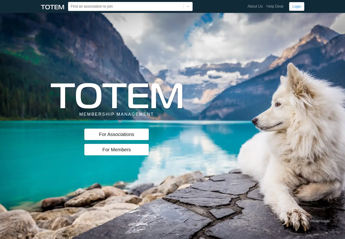 Captured homepage of jointotem.com in the current scan
