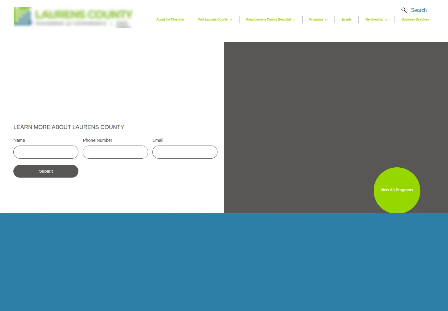 Screenshot of laurenscounty.org