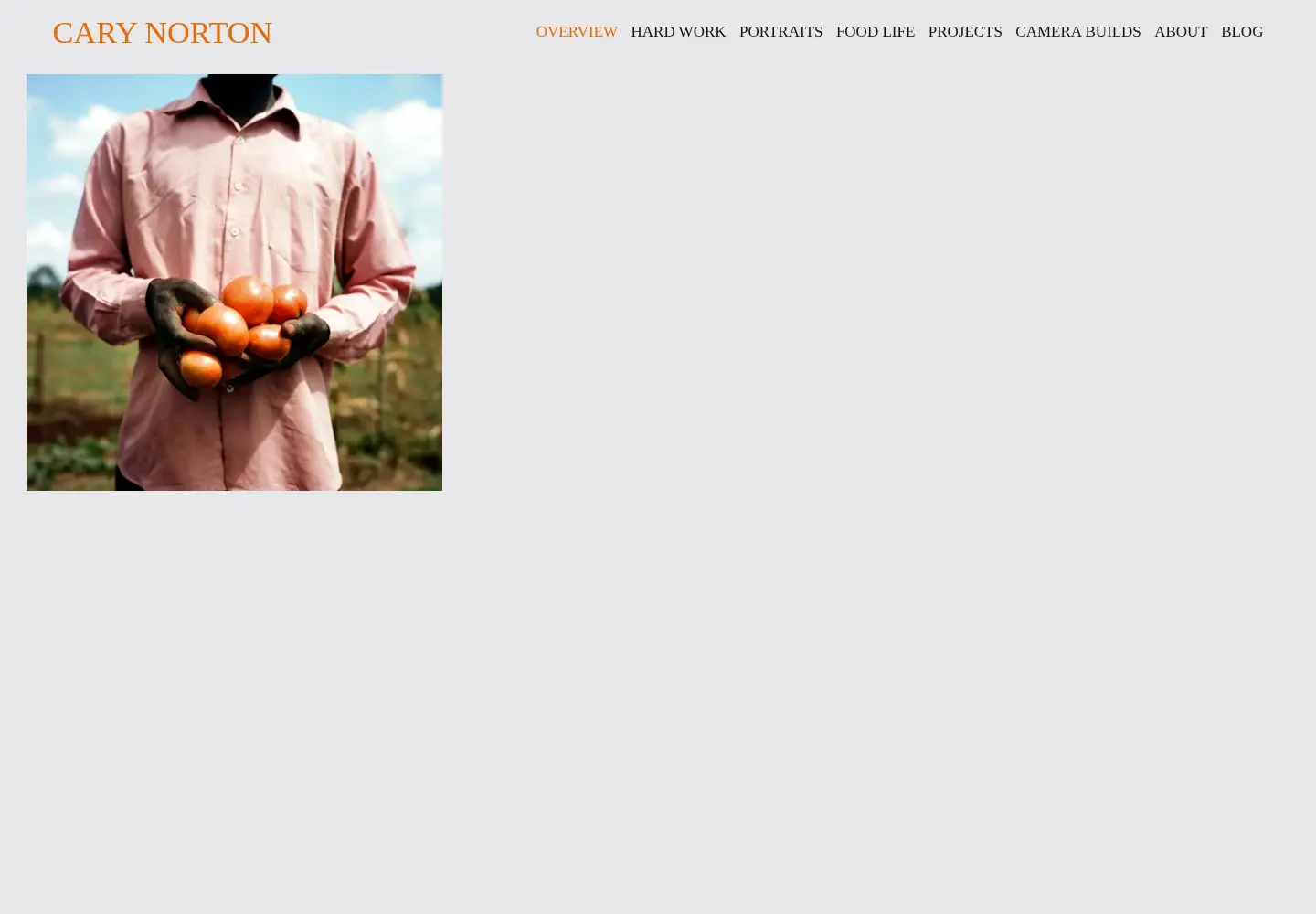 Screenshot of carynorton.com