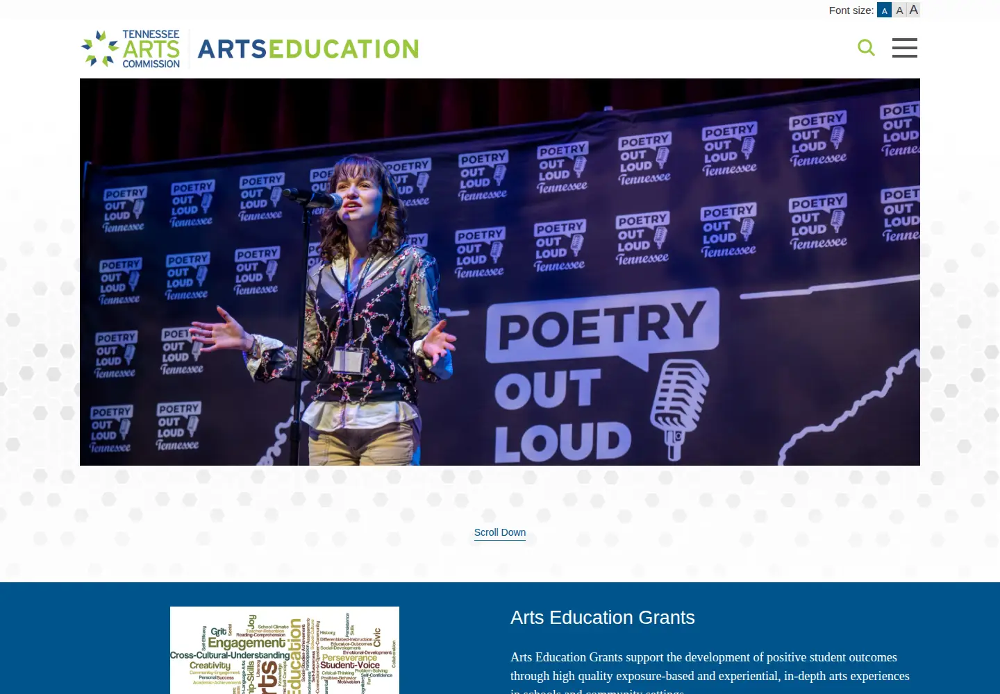 Screenshot of tnartseducation.org