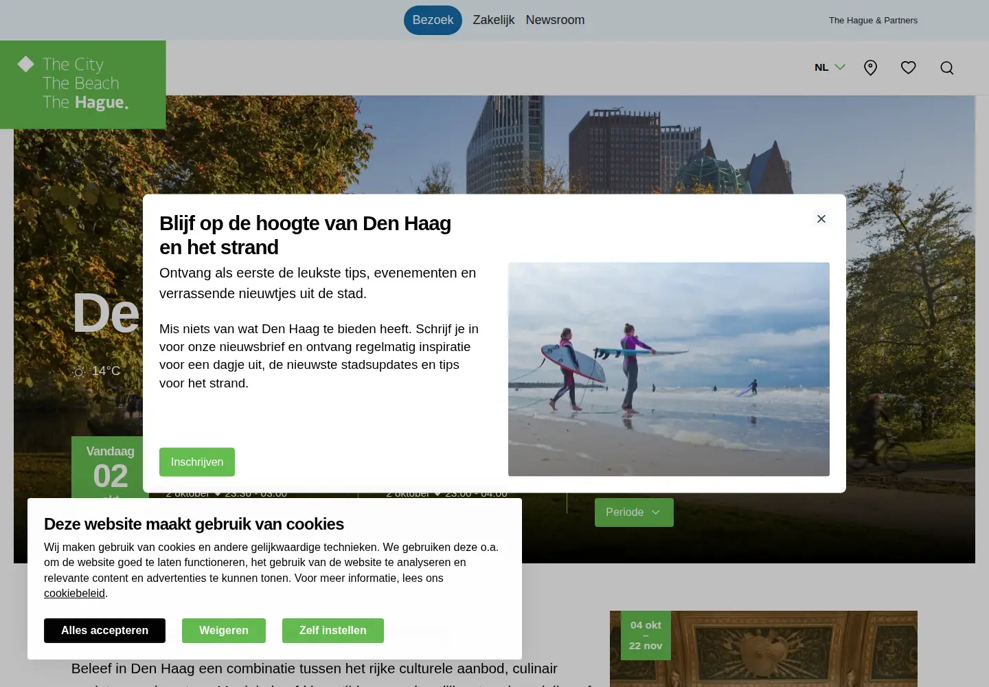 Screenshot of denhaag.com