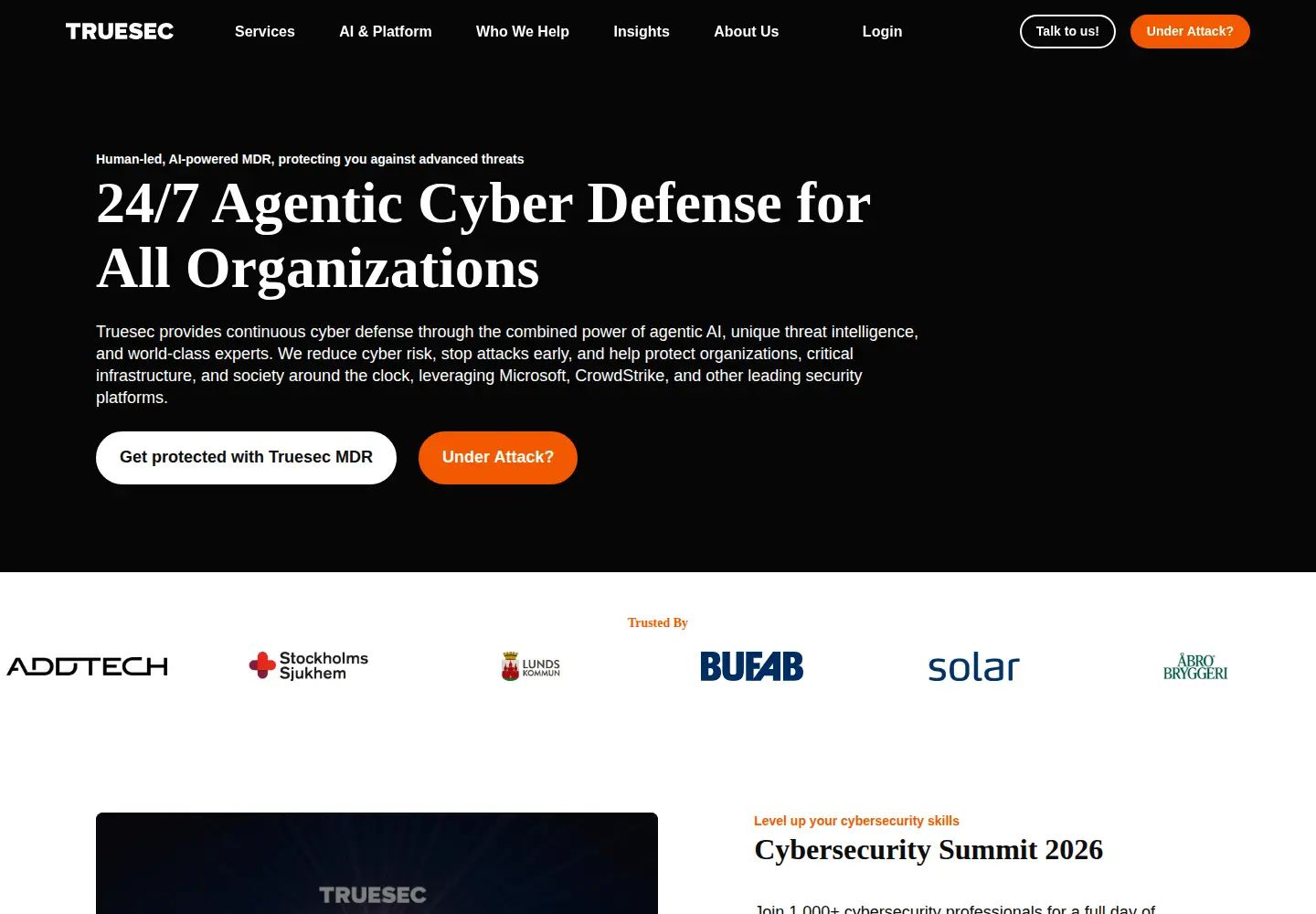 Screenshot of truesec.com