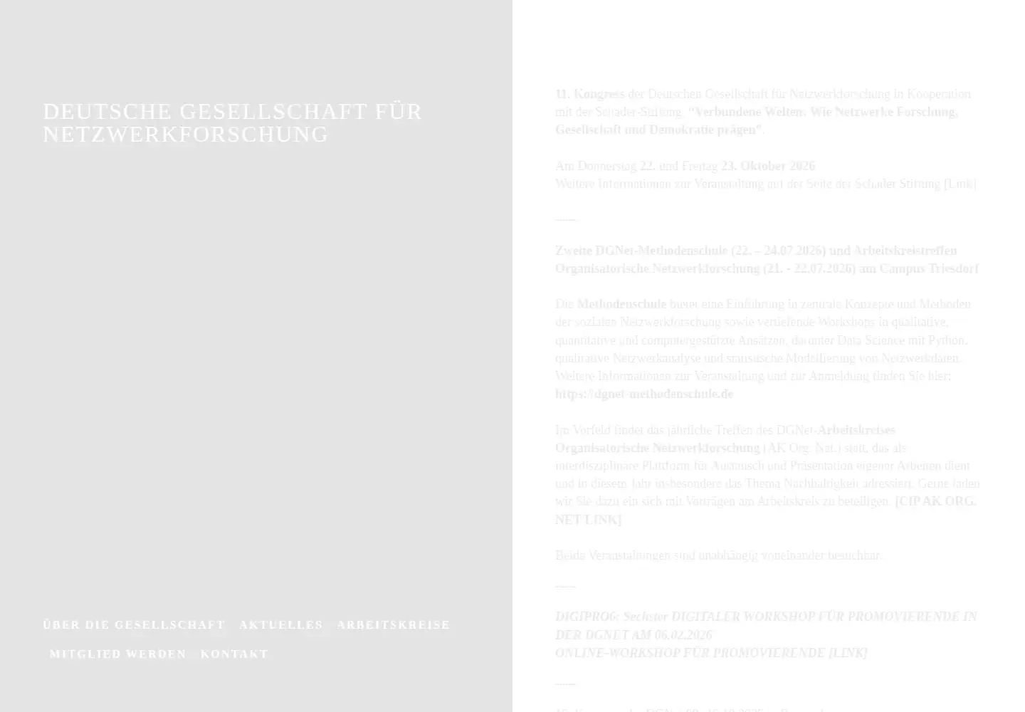 Screenshot of netzwerkforschung.org