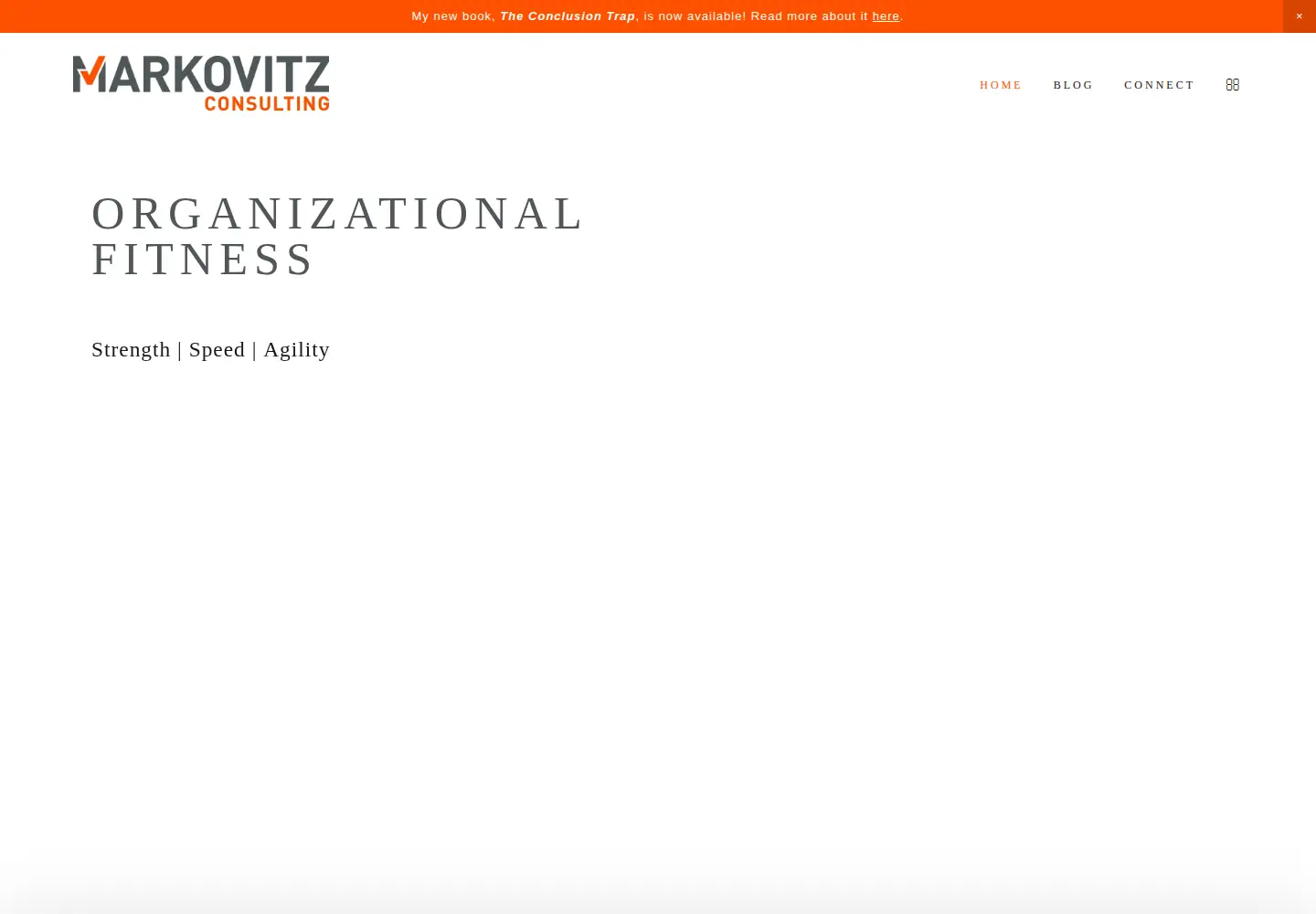 Captured homepage of markovitzconsulting.com in the current scan